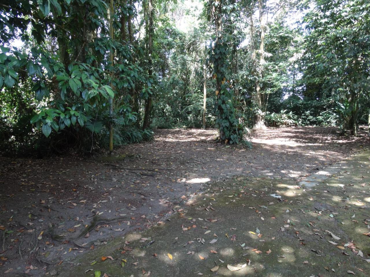 Sarapiquí Horquetas River Lodge מראה חיצוני תמונה