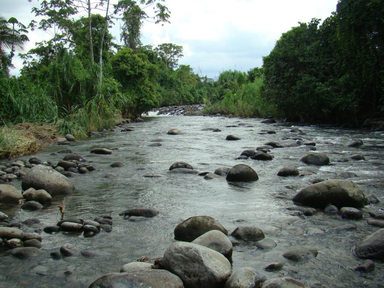Sarapiquí Horquetas River Lodge מראה חיצוני תמונה