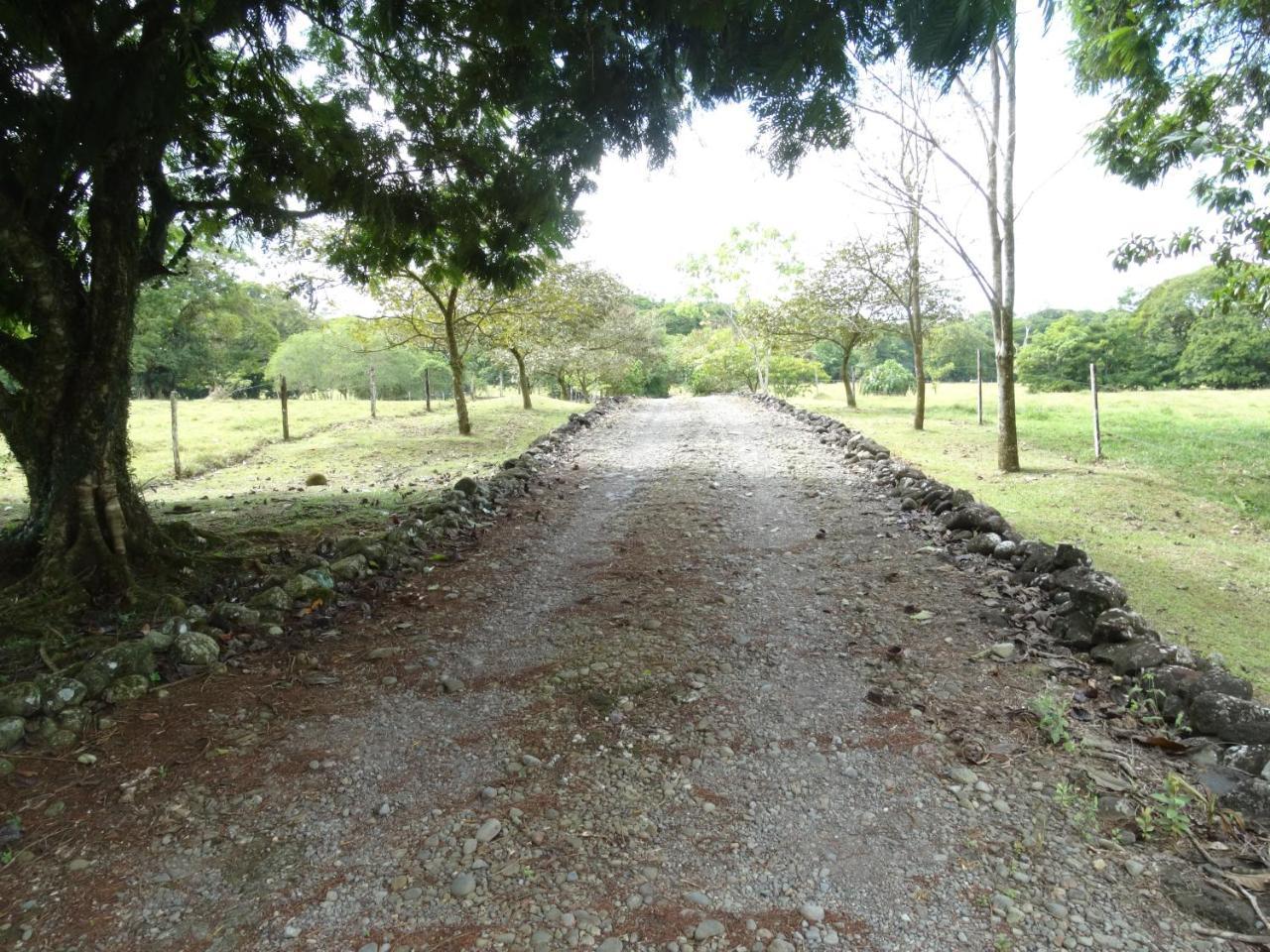 Sarapiquí Horquetas River Lodge מראה חיצוני תמונה