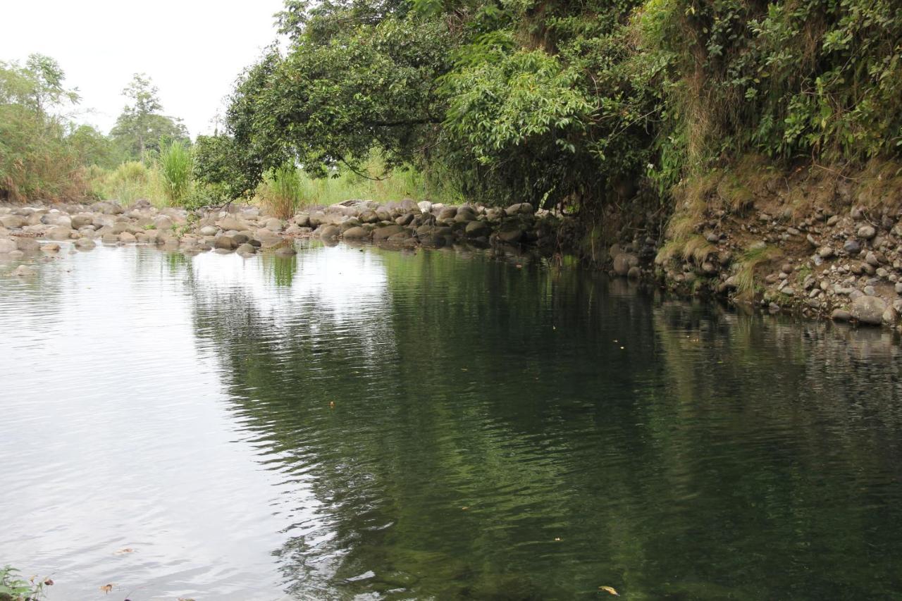 Sarapiquí Horquetas River Lodge מראה חיצוני תמונה