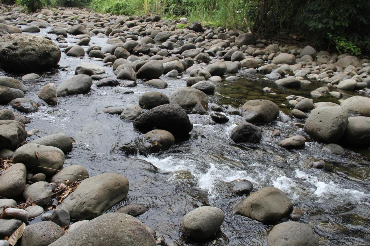 Sarapiquí Horquetas River Lodge מראה חיצוני תמונה