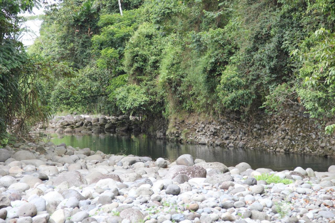 Sarapiquí Horquetas River Lodge מראה חיצוני תמונה