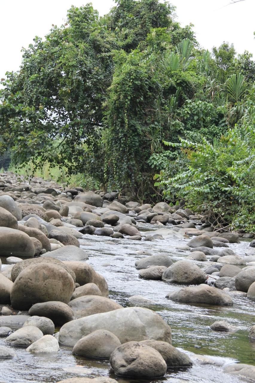 Sarapiquí Horquetas River Lodge מראה חיצוני תמונה