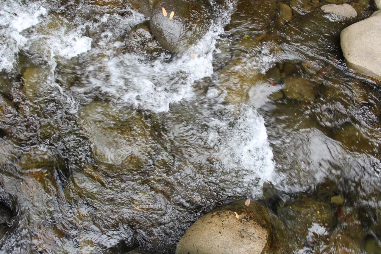 Sarapiquí Horquetas River Lodge מראה חיצוני תמונה