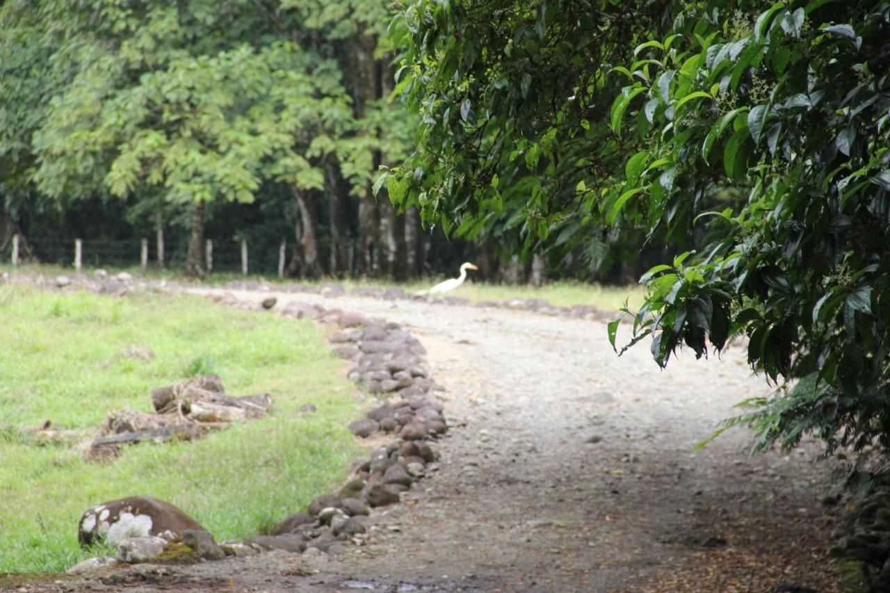 Sarapiquí Horquetas River Lodge מראה חיצוני תמונה