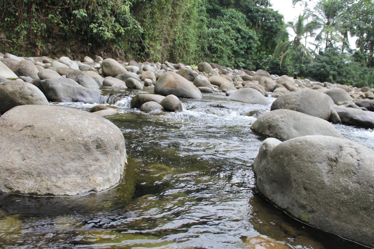 Sarapiquí Horquetas River Lodge מראה חיצוני תמונה