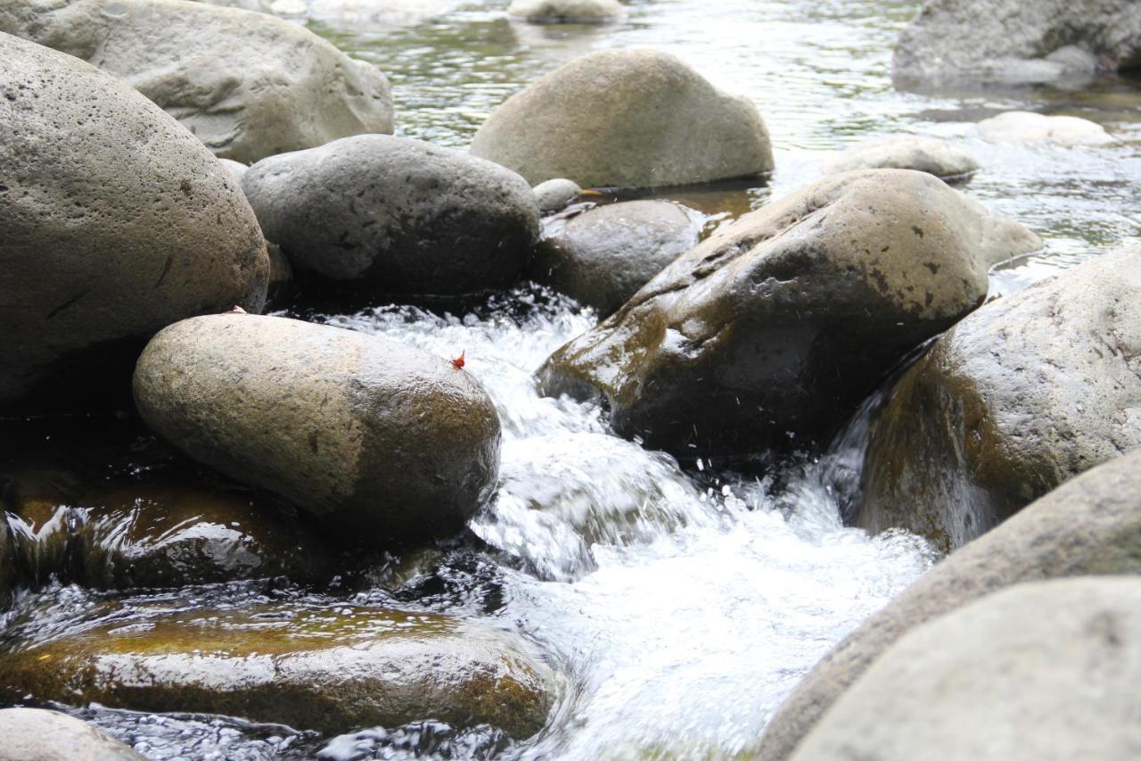 Sarapiquí Horquetas River Lodge מראה חיצוני תמונה