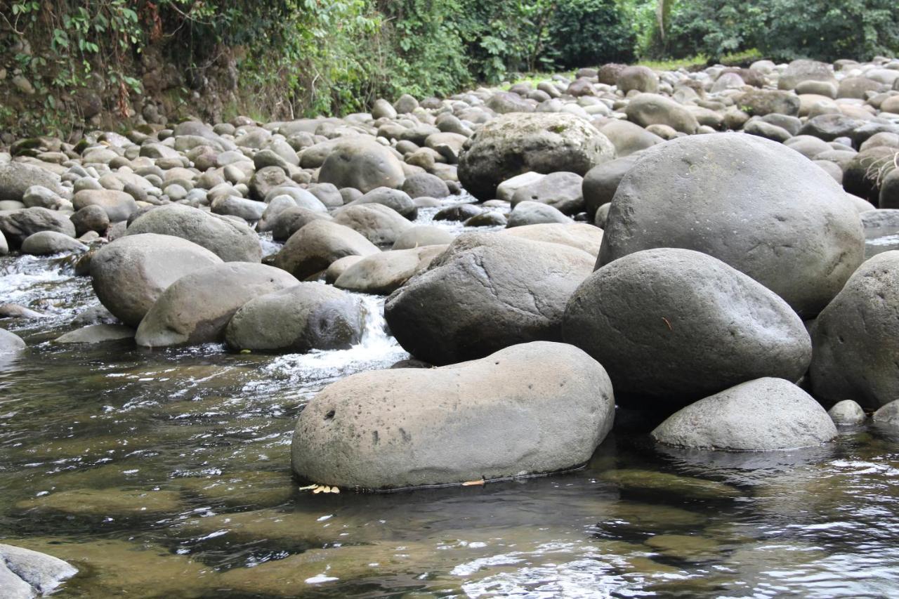 Sarapiquí Horquetas River Lodge מראה חיצוני תמונה