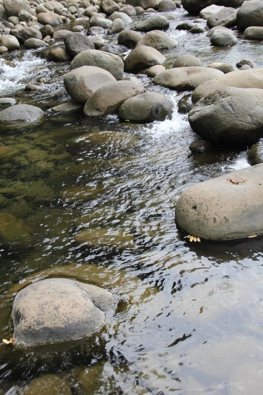 Sarapiquí Horquetas River Lodge מראה חיצוני תמונה